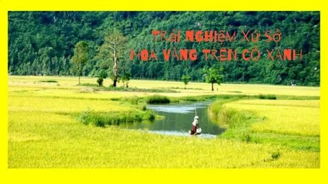 Freelancer Và Cơ Hội Kiếm Tiền Từ Nền Tảng Hotspot Matrix_Ma trận điểm truy cập nền tảng
